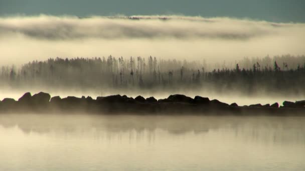 Schichten Aus Dichtem Nebel Üppigen Baumsilhouetten Und Felsen — Stockvideo