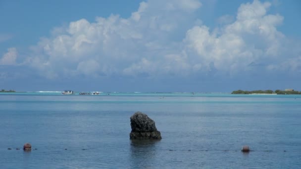 Στιγμιότυπο Από Μεγάλο Βράχο Στην Ακτή Του Θέρετρου Μουρέα Ταϊτή — Αρχείο Βίντεο