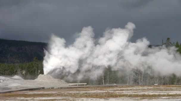 イエローストーン国立公園大きいオールド フェイスフル ガイザーの白い蒸気を吹く強い — ストック動画