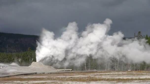 Forte Vapore Bianco Soffiante Del Parco Nazionale Yellowstone Grande Vecchio — Video Stock