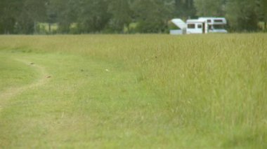 Mont Saint Michel, Master saklanmaktan oynak köpek ile çim alanının sabit görünüm