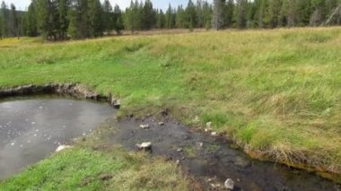 Küçük temiz gölet Grand Teton Milli Parkı içinde kaydırma