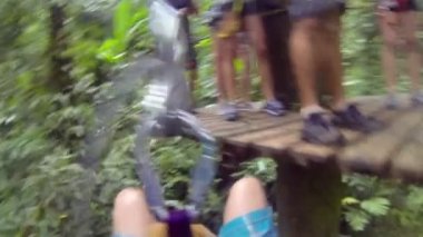 Ücretsiz hızlı izlemek ve sırada bekleyen insanlar ile yüksek ağaç yukarıdan aşağı düşen