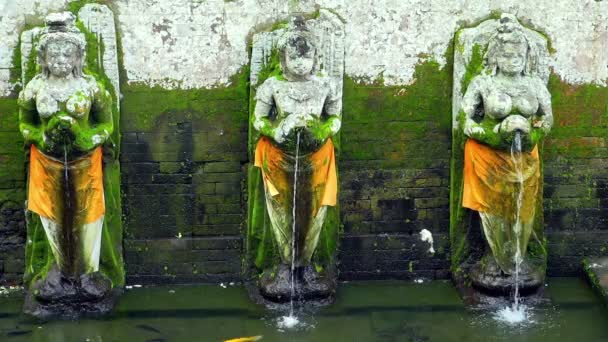 Заблокированное Видео Трех Превосходных Статуй Будды Покрытых Мхом Льющих Воду — стоковое видео