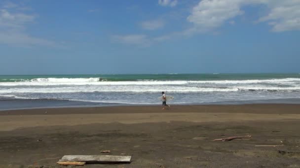 Moción Lenta Correr Solo Surfista Playa — Vídeo de stock