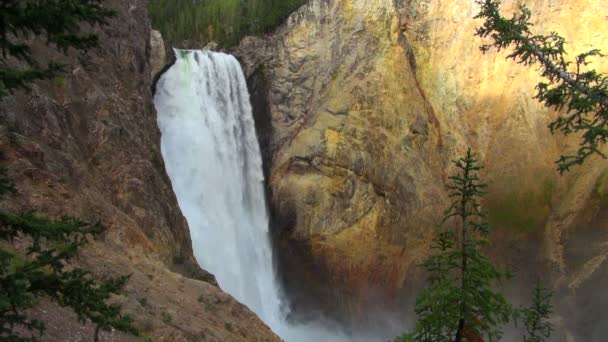 Increíble Agua Rústica Cayendo Libremente Lower Falls Yellowstone Park — Vídeos de Stock