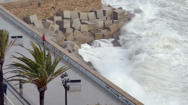 Onde Forti Che Infrangono Con Una Corrente Turbolenta Accanto Campo — Video Stock