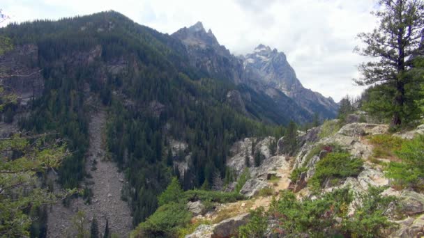 Tiro Constante Del Parque Nacional Grand Teton Hermosa Montaña Verdes — Vídeos de Stock