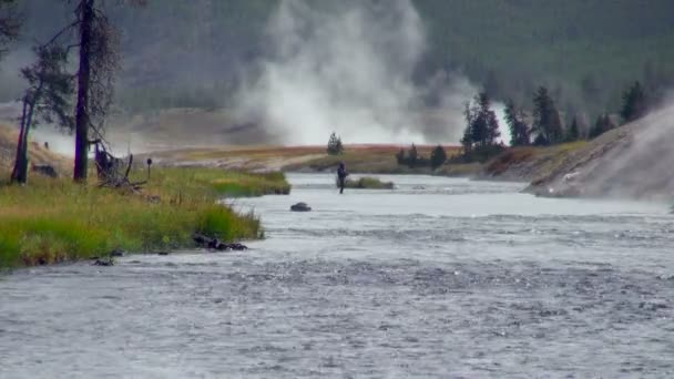 Tiro Homem Rio Amêijoa Parque Nacional Yellowstone — Vídeo de Stock