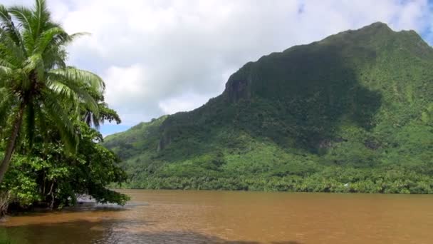 Posouvání Záběr Silnici Vedle Jungle River Tahiti Moorea Fracouzská Polynésie — Stock video