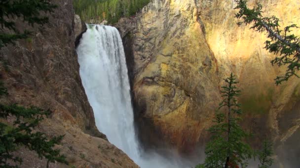 Flujo Rápido Sombreado Del Sol Lower Falls Yellowstone Park — Vídeos de Stock