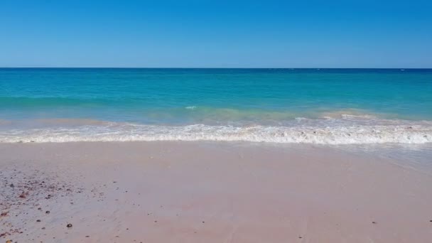 Vue Panoramique Sur Plage Les Vagues Cabo Pulmo Mexique — Video