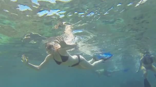 Gruppe Von Menschen Schnorcheln Und Genießen Ihr Schwimmen Der Heißen — Stockvideo