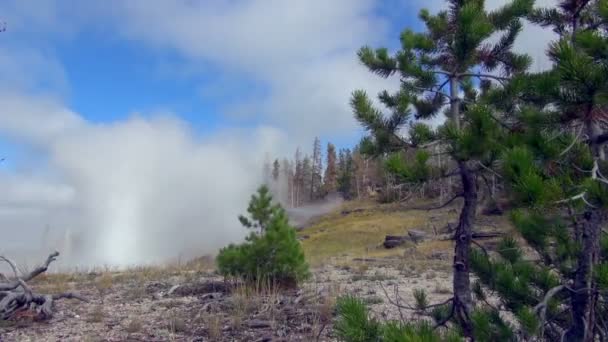 Wietrzny Strzał Wielki Wielki Gejzer Słynnego Parku Narodowego Yellowstone — Wideo stockowe
