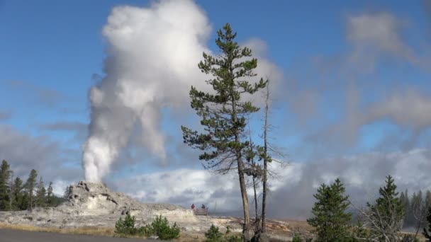 Wide Shot Big Geyser Yellowstone National Park — Stock Video