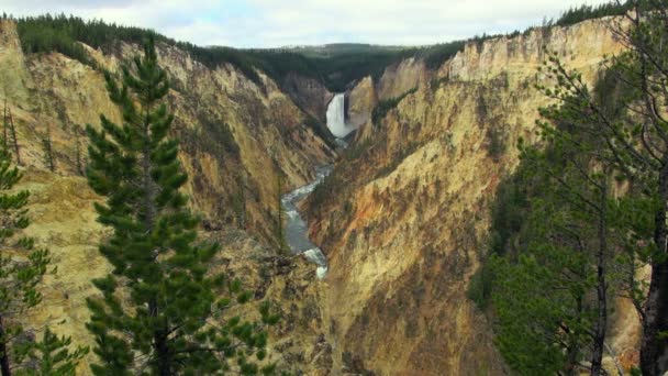 Vista Aérea Escénico Gran Cañón Yellowstone Las Increíbles Cataratas Bajas — Vídeos de Stock