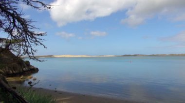 Morro Bay Ca ağaç dalları ile güzel görünümü
