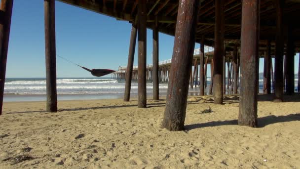 Široký Pod Slavný Pismo Pier Slunečného Dne Surfaři Těší Vlny — Stock video