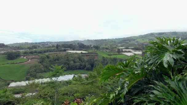 Aerial Uttaget Den Vackra Staden Guayabo Costa Rica Mörka Bladen — Stockvideo