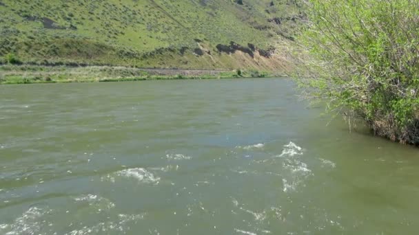 Río Fresh Yakima Fluye Libremente Día Soleado Estados Unidos América — Vídeos de Stock