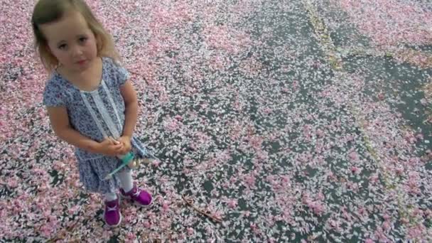 かわいい女の子人形を押し ヤキマ米国で花びらのカラフルなベッドの上に立って — ストック動画
