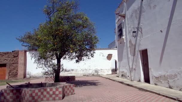绿色树和老建筑在龙舌兰在一个晴朗的日子和风吹 — 图库视频影像
