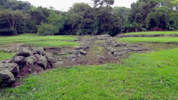 Låsning Stenfot Väg Guayabo National Park — Stockvideo