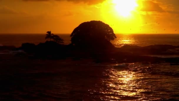 Perfetto Tramonto Giallo Squillato Nero — Video Stock