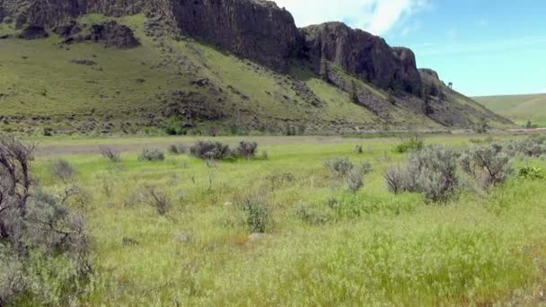 Pan Left Right Green Field Beautiful Naches River Dalam Bahasa — Stok Video