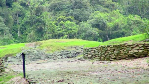 Vergrendeling Van Stenen Fundering Guayabo Nationaal Park — Stockvideo