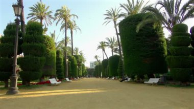 Geniş görünüm Genoves Park, İspanya'nın benzersiz olarak kesilmiş ağaçları ile kesinlikle yakalama turist dikkat edecek çeşitli tasarımlar ile
