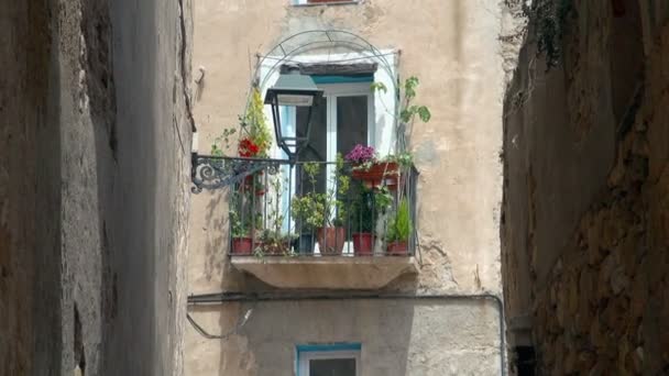缩小从一个小阳台与鲜花在塔拉戈纳西班牙发现在一个小街道 — 图库视频影像
