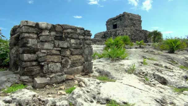 Историческая Руина Майя Другим Близким Углом — стоковое видео