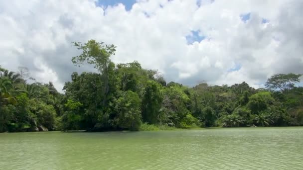 Strzał Kanału Panamskiego Zielony Mangrowe Pochmurny Dzień — Wideo stockowe