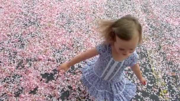 美しい小さな女の子が花弁の厚いベッドの上遊んで一日中晴れた日に — ストック動画