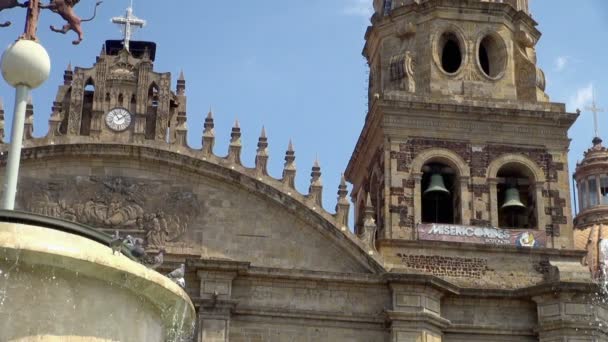 Close Rebanho Pombas Fonte Incrível Catedral Assunção Nossa Senhora Guadalajara — Vídeo de Stock