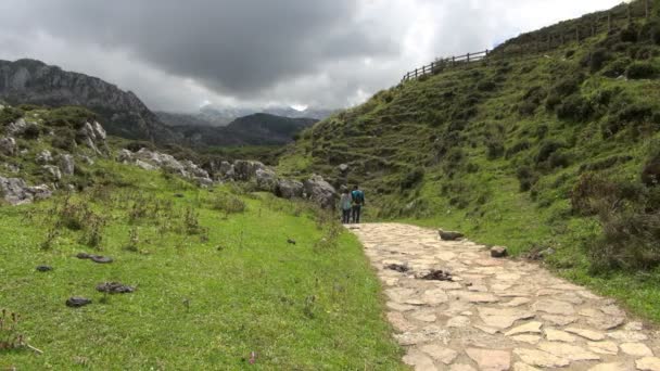 Small Brick Road Couple Tourist Walking Nature Filled Area — Stock Video