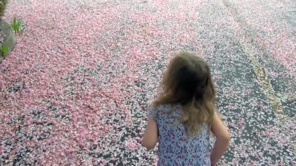 Summer Fun Little Cute Girl Playing Field Petals Yakima Beautiful — Stock Video