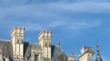 Pan: Geniş görünüm, Chateau de Chenonceau Fransa ve çevreleyen alanı tam bir doğa şaşırtıcı