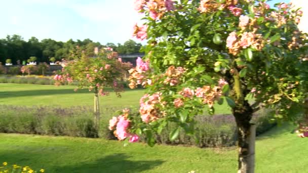 左から右へのパン 美しい庭園と壮大なタワーのシュノンソー — ストック動画