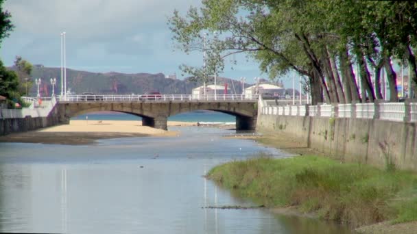 Still Shot Shows Busy Bridge Pedestrians Vehicles Playa San Lorenzo — Stock Video