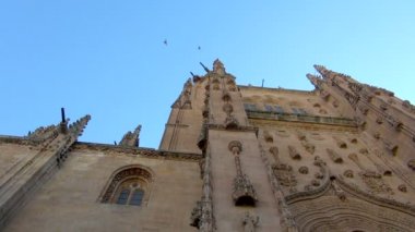 Yeni Katedrali yukarı doğru geçmişte uçan kuşlar ile seyir Salamanca İspanya, dış görünümünü
