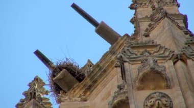 Yeni Salamanca Cathedral İspanya, çatı büyük kuş yuvası ve kuş uçan geçmiş bir köşesinde görünümünü