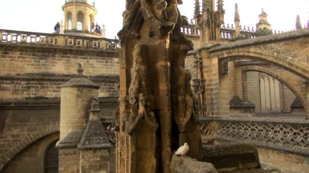 白色鸽子停留在圣玛丽大教堂的塔在塞维利亚西班牙与游人走在背景上 — 图库视频影像