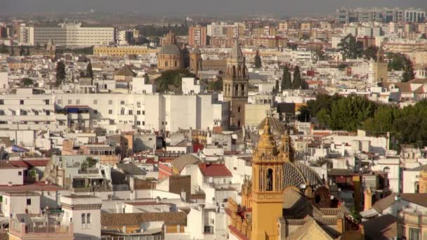 Geniş Zarif Yapılar Kiliseler Evler Seville Spanya Ağaçları Ile Karışık — Stok video
