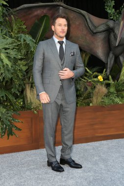 Los Angeles - Haziran 12: Chris Pratt, 