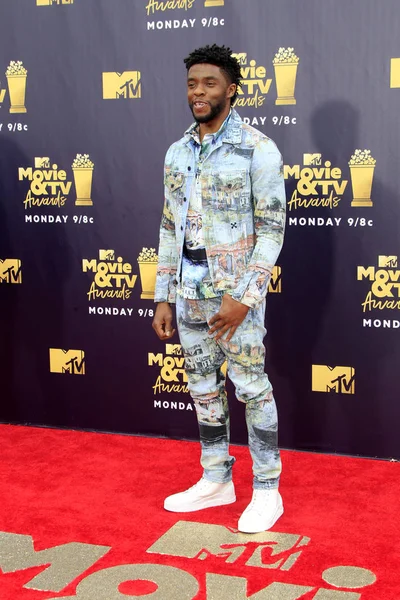 Los Angeles - Jun 16: Chadwick Boseman 2018 Mtv film ve Televizyon Ödülleri'nde 16 Haziran 2018 Barker askıda Santa Monica, Ca