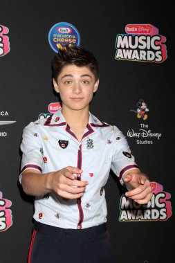 Los Angeles - 22 Haziran: Asher melek 2018 radyo Disney Müzik Ödülleri Loews Hotel adlı 22 Haziran 2018 Los Angeles, Ca