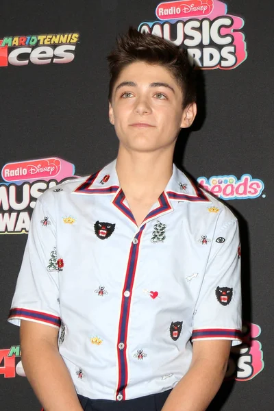Los Angeles - 22 Haziran: Asher melek 2018 radyo Disney Müzik Ödülleri Loews Hotel adlı 22 Haziran 2018 Los Angeles, Ca
