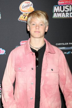 Los Angeles - 22 Haziran: Carson Lueders üzerinde 22 Haziran 2018 Loews Hotel Los Angeles, Ca 2018 radyo Disney Müzik Ödülleri'nde
